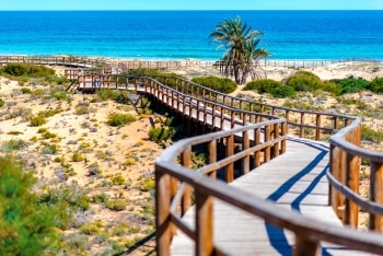 Strand mit befestigtem Weg